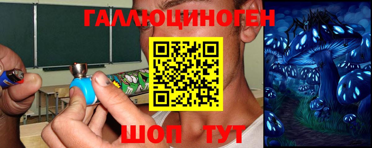 купить наркоту  Вход с VPN  Галлюциногенные грибы GOLDEN TEACHER  Воронеж  Псилоцибиновые грибы Magic Shrooms 