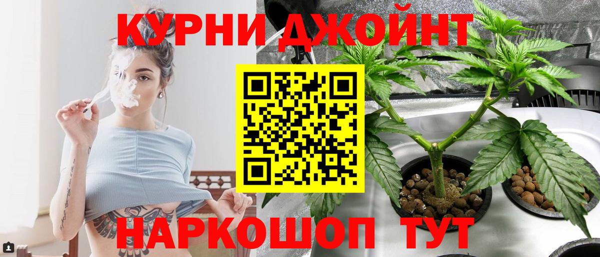 Каннабис сатива Воронеж